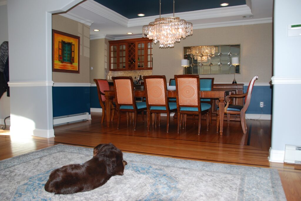 Family dog looking at dining room
